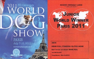 Head Full - Jeune Champion du Monde