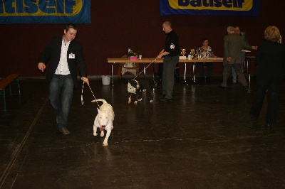 Head Full - Champion Vétéran du Luxembourg.
